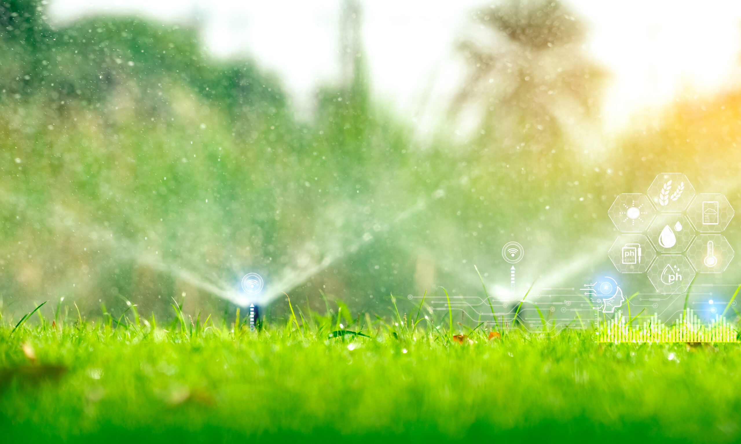 automatic lawn sprinkler watering green grass and icon of smart